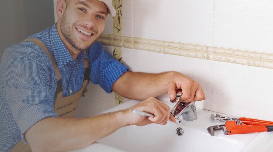 Professional Leak Detection Services services in Felton, MN